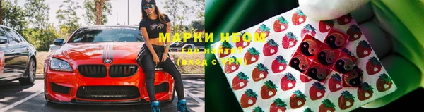 шишки Армянск