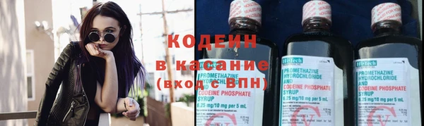 шишки Армянск