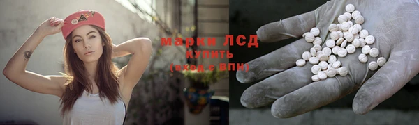 шишки Армянск
