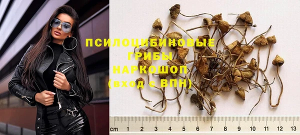 меф Арсеньев