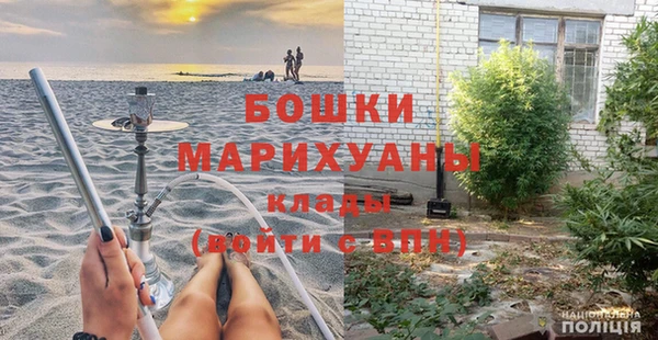 шишки Армянск