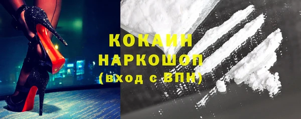 шишки Армянск