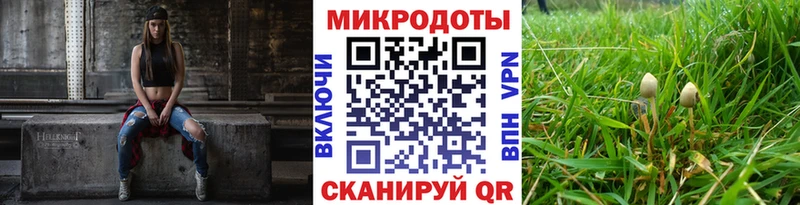 Псилоцибиновые грибы мицелий купить наркотики цена Можга